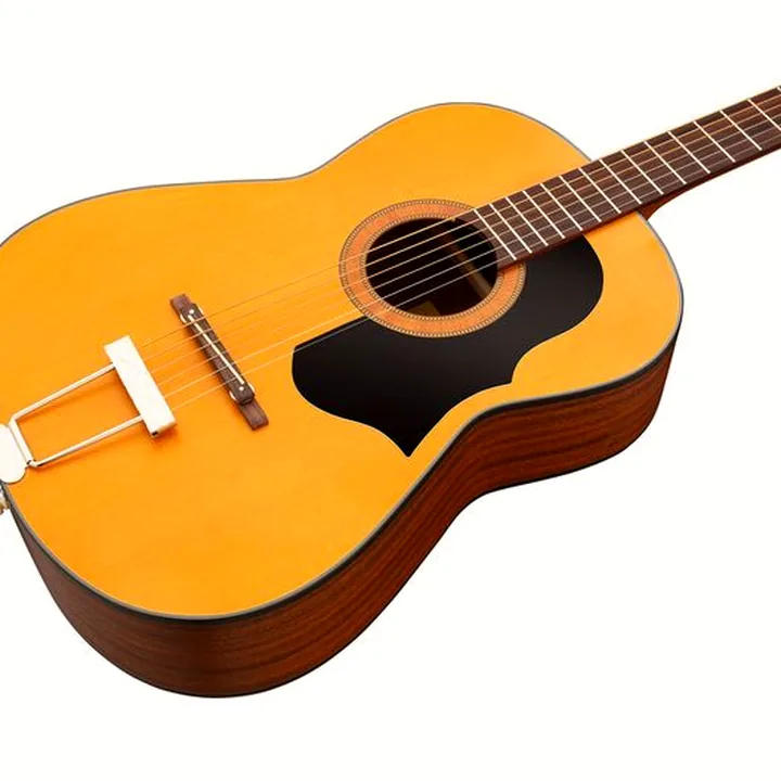 Framus Vintage Hootenanny 6 TS : Test, Avis, Comparatif