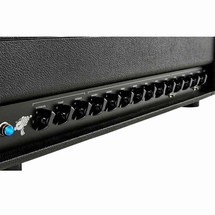 Friedman SS100 V2 Head Comparatif, Test, Avis