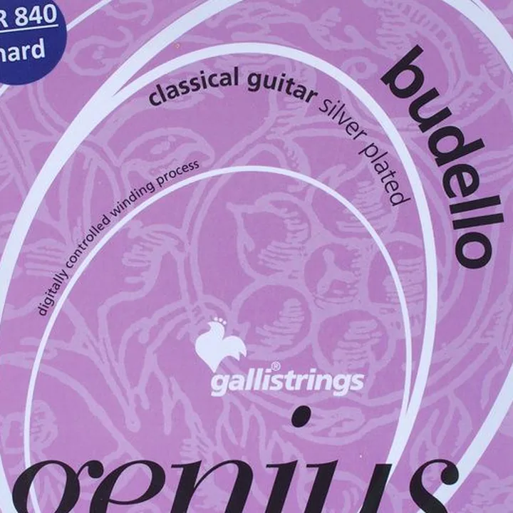 Galli Strings GR840 Genius Budello Guitar
