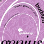 Galli Strings GR855 Genius Budello Guitar – Test, Comparatif & Avis