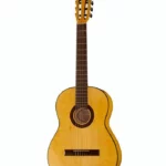 Gewa Pro Arte Flamenco Yellow Test, Avis, Comparatif