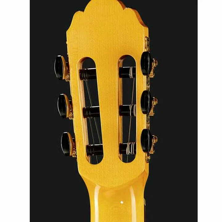 Gewa Pro Arte Flamenco YW E-A / Avis et Test