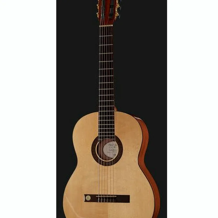 Gewa Pro Arte GC130A / Avis et Test