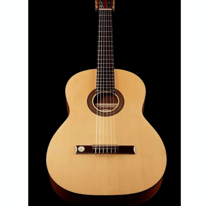 Gewa Pro Arte GC130A / Avis et Test