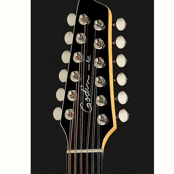 Et Avis : Godin A12 Black