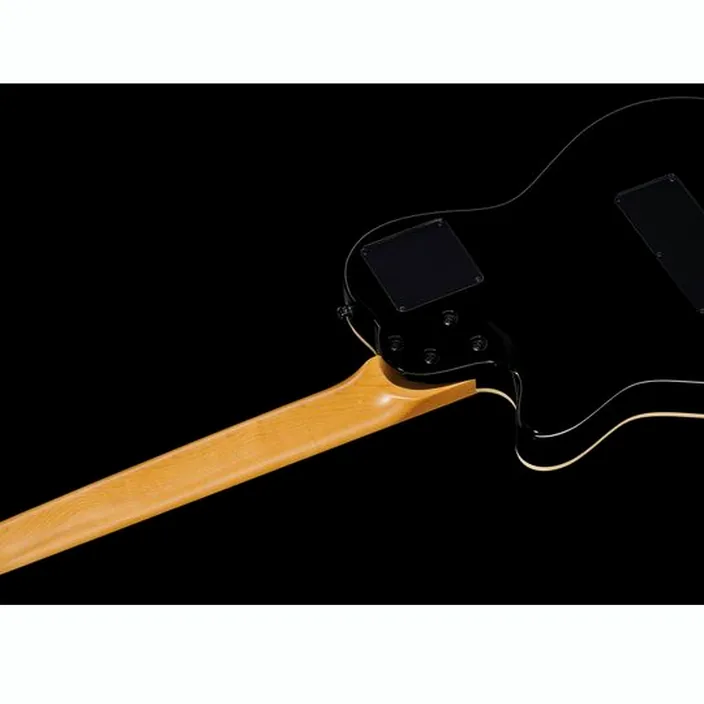 Et Avis : Godin A12 Black