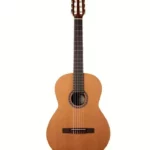 Godin Collection : Comparatif, Test & Avis