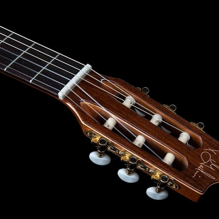 Godin Collection : Comparatif, Test & Avis