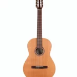 Avis et Test : Godin Concert