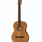 Test & Avis Godin Concert Classic