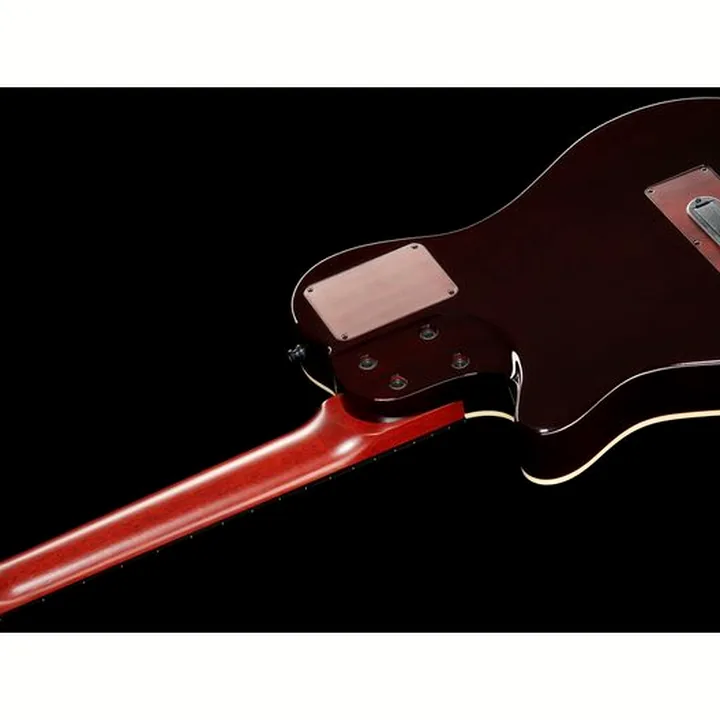 Godin Multiac Grand Concert Natur , Avis, Test
