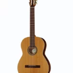 Godin Presentation Classic , Test, Avis & Comparatif