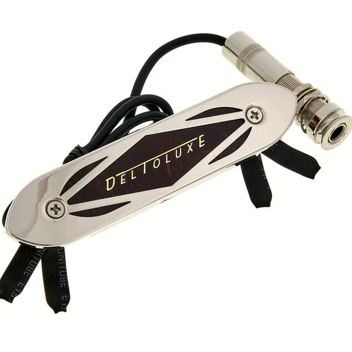 Gretsch Deltoluxe Pickup : Test, Avis et Comparatif