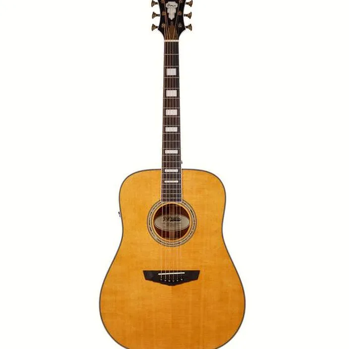 Guitare acoustique DAngelico Premier Lexington Vintage Nat