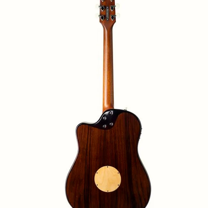 Guitare acoustique L.R.Baggs AEG 1 E- Acoustic Sunburst : Avis, Comparatif & Test