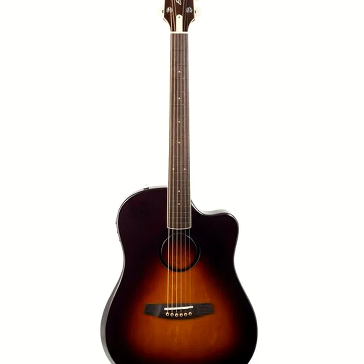 Guitare L.R.Baggs AEG 1 E- Acoustic Sunburst
