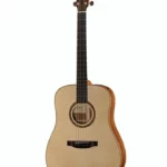 Test et Avis Guitare acoustique Lakewood D-18