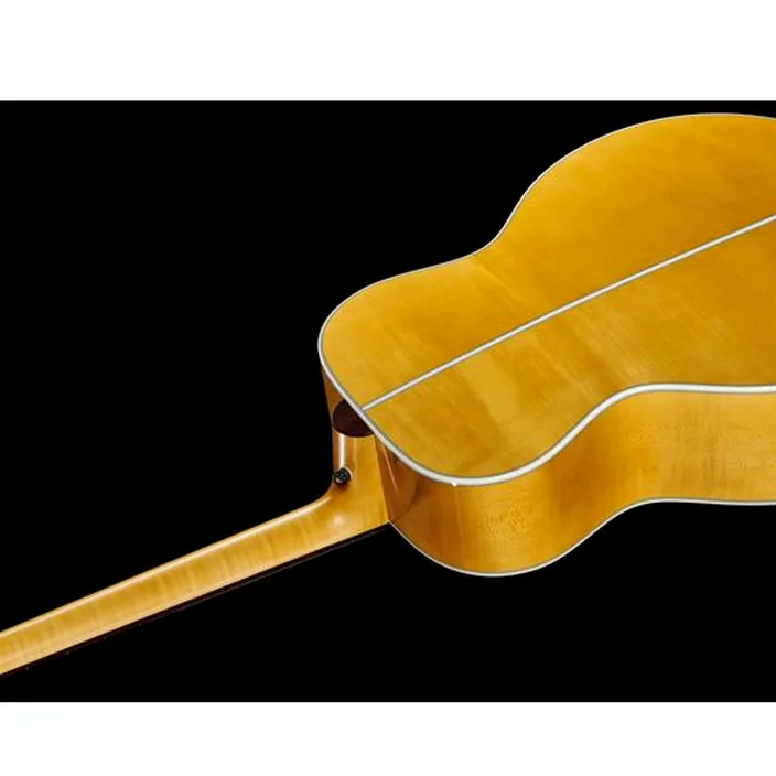 Guitare acoustique Lakewood J-20 Custom P