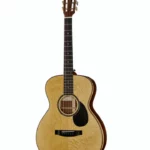 Guitare acoustique Lakewood M-Brazilian Rosewood II Custom , Comparatif, Avis et Test