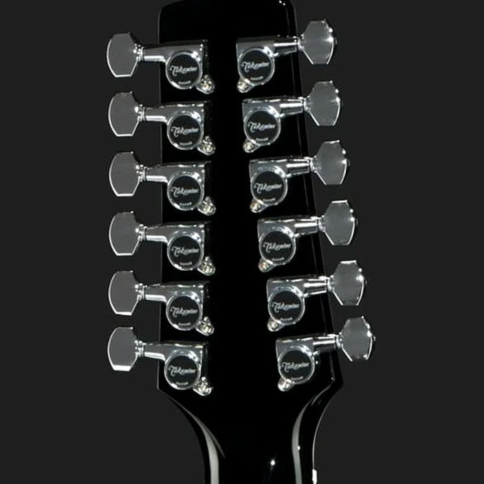 Guitare acoustique Takamine EF381SC Avis, Comparatif & Test