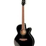 Guitare Acoustique Takamine PTU561SP Custom Comparatif, Avis, Test