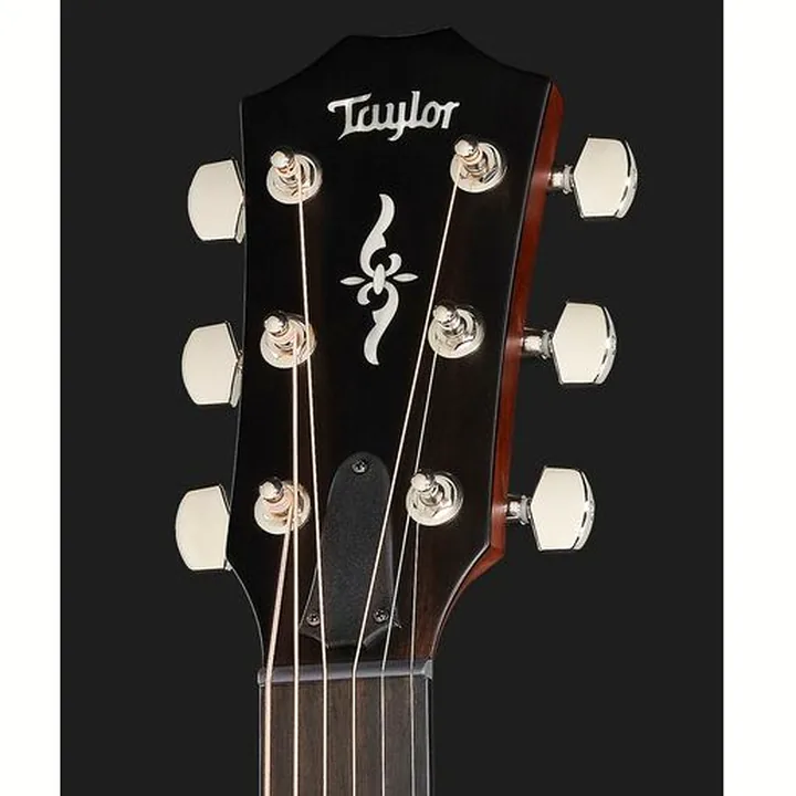 Guitare acoustique Taylor 424ce Walnut SEB Spcl Edition / Avis & Test
