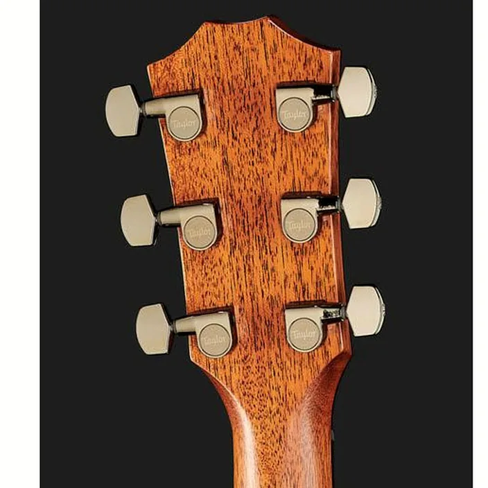Et Test de la guitare acoustique Taylor 818e Antique Blonde