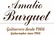 Guitare Amalio Burguet Aniversario Spruce W/Case : Test, Comparatif, Avis