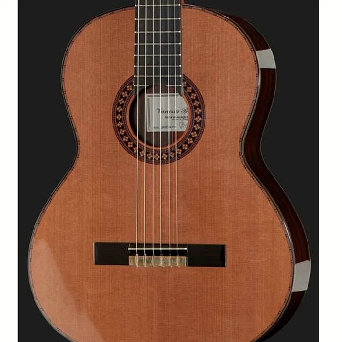 La guitare Amalio Burguet Vanessa Cedar Avis, Test
