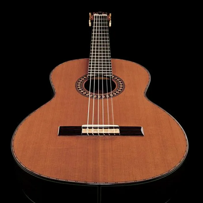 La guitare Amalio Burguet Vanessa Cedar Avis, Test