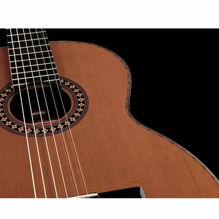 La guitare Amalio Burguet Vanessa Cedar Avis, Test