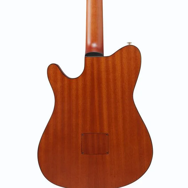 Guitare classique Ibanez FRH10N-RGF , Comparatif, Avis, Test