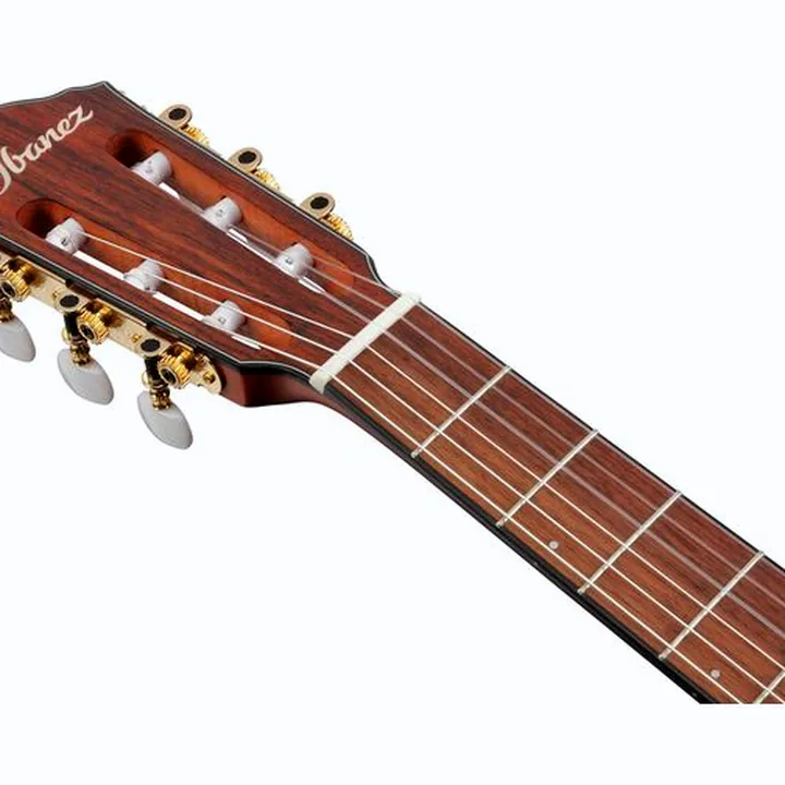 Guitare classique Ibanez FRH10N-RGF , Comparatif, Avis, Test