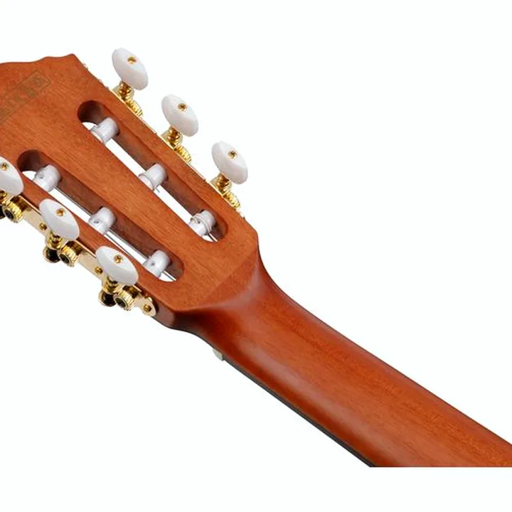 Guitare classique Ibanez FRH10N-RGF , Comparatif, Avis, Test