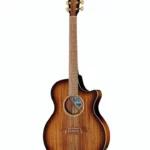 Guitare Cole Clark CCAN2EC-BLBL-SUN , Comparatif, Test & Avis