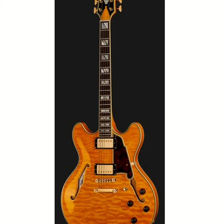Guitare électrique DAngelico Excel DC XT Vintage Nat Quilt Comparatif, Avis & Test