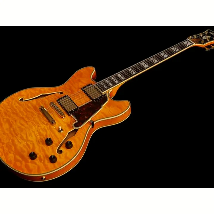 Guitare électrique DAngelico Excel DC XT Vintage Nat Quilt Comparatif, Avis & Test