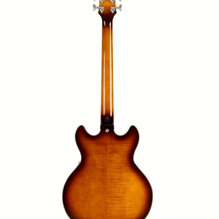Guitare électrique DAngelico Premier Mini DC Dark Ice Tea : Test, Comparatif, Avis