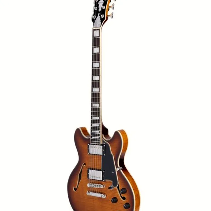Guitare électrique DAngelico Premier Mini DC Dark Ice Tea : Test, Comparatif, Avis