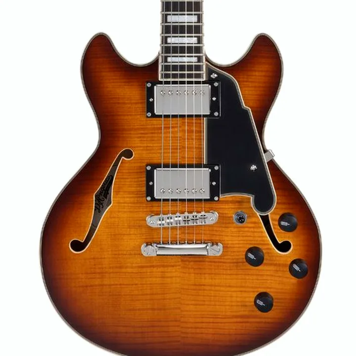 Guitare électrique DAngelico Premier Mini DC Dark Ice Tea : Test, Comparatif, Avis