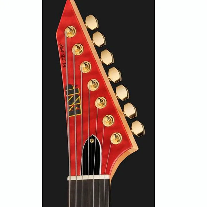 Guitare électrique ESP M7B HT RASPBERRY GH EMG Test, Avis