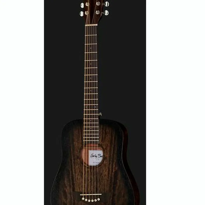 Guitare électrique Harley Benton Delta Blues T Set 1