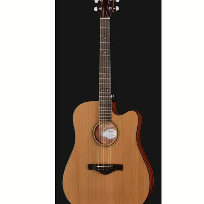 Et Avis Guitare électrique Ibanez AW65ECE-LG