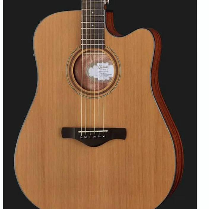 Et Avis Guitare électrique Ibanez AW65ECE-LG