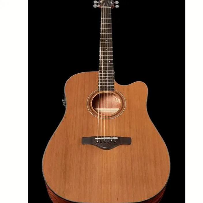 Et Avis Guitare électrique Ibanez AW65ECE-LG