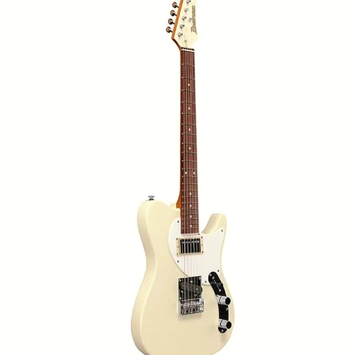 Guitare électrique Ibanez FLATV2-MSN