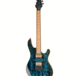 Guitare électrique Mayones Guitars Regius 6 Curly Poplar TT Test, Avis & Comparatif