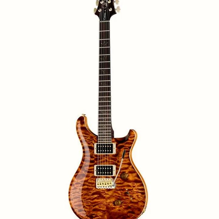 Guitare PRS Custom 24 Wood Library CH