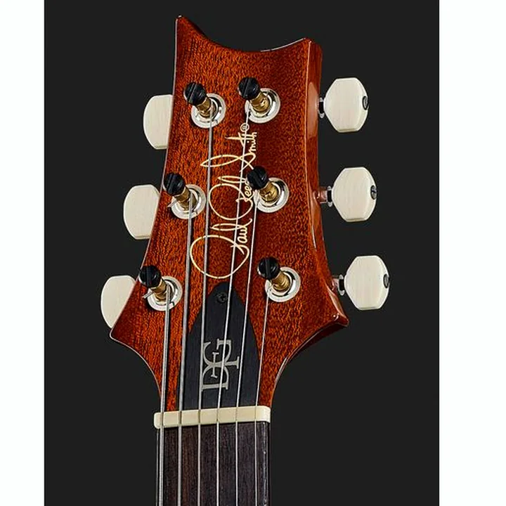 Guitare électrique PRS DGT Birds MS , Avis, Comparatif & Test