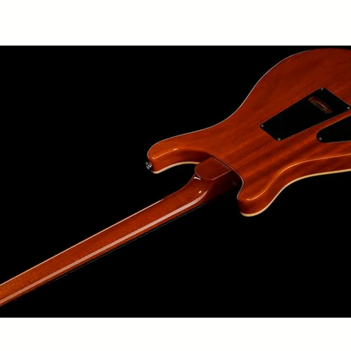 Guitare électrique PRS DGT Birds MS , Avis, Comparatif & Test